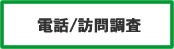 電話/訪問調査